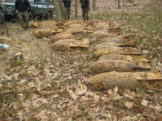 bomby w Puszczy Sandomierskiej