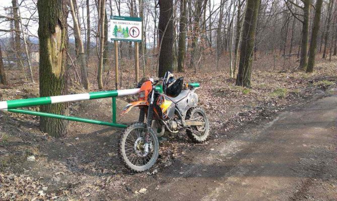 motocyklista - las - mandat