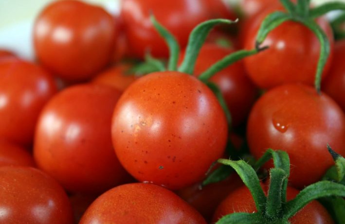 warzywa-pomidory-embargo