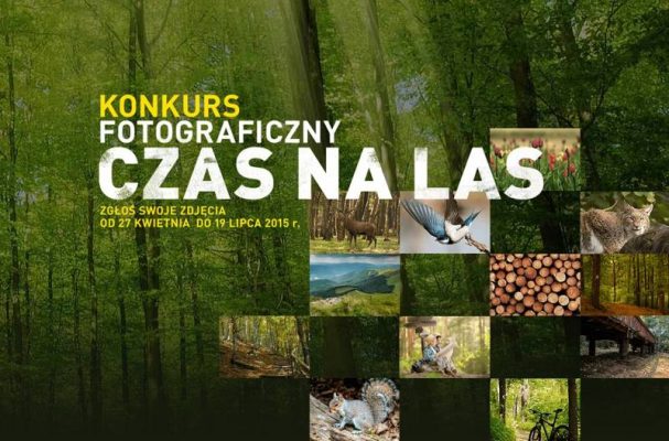 konkurs fotograficzny - czas na las