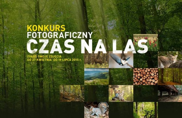 konkurs fotograficzny - czas na las