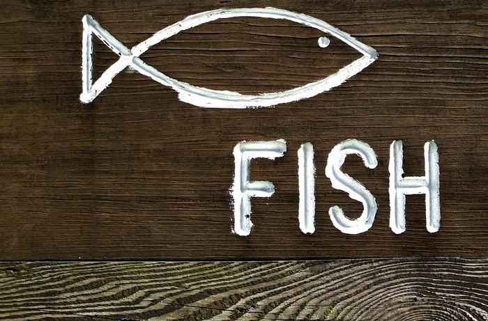 dzień ryby - jaka ryba na obiad?