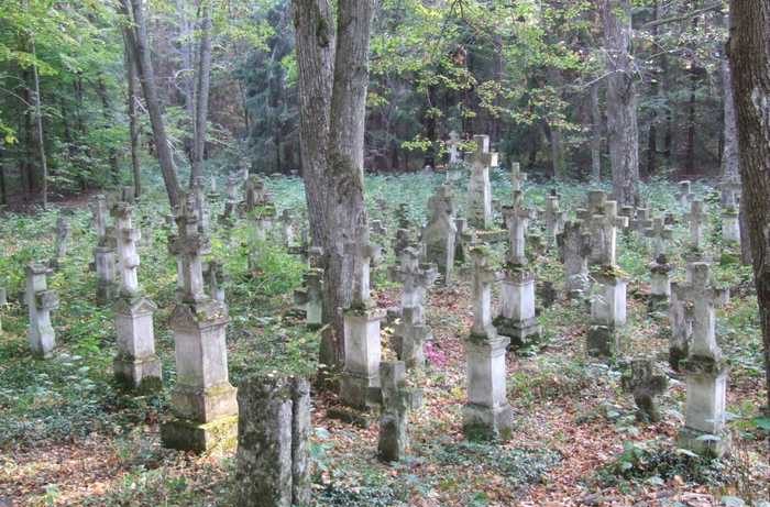 renowacja leśnego cmentarza - Stare Brusno