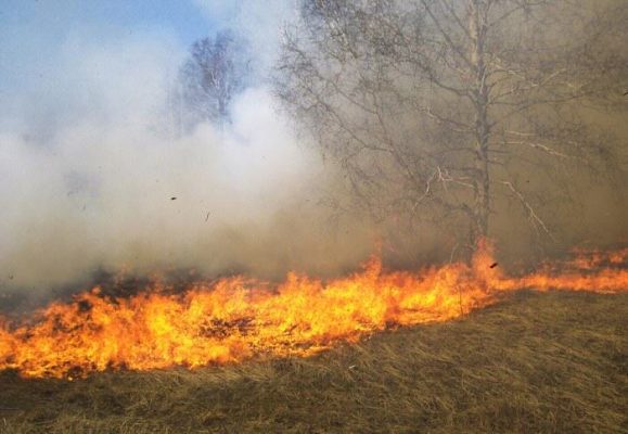 stopień zagrożenia pożarowego - lasy - polska
