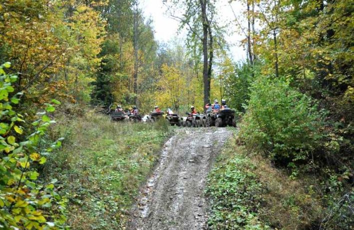 quadowcy zatrzymani w lesie