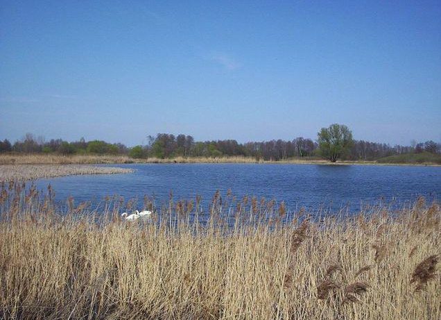rezerwat przyrody Stawy Gnojna im. Rodziny Bieleckich