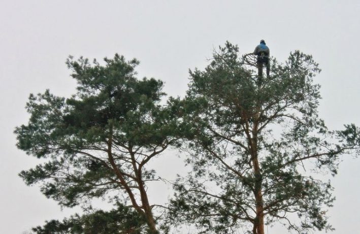 platforma dla rybołowa