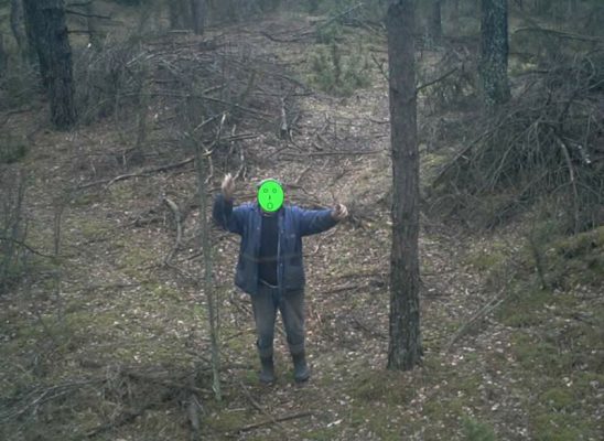 kłusownik stawiający wnyki