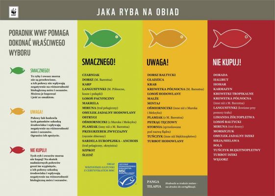 ryby - jaka ryba na obiad