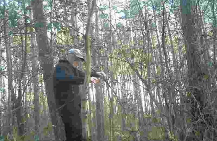 kłusownik - wnyki
