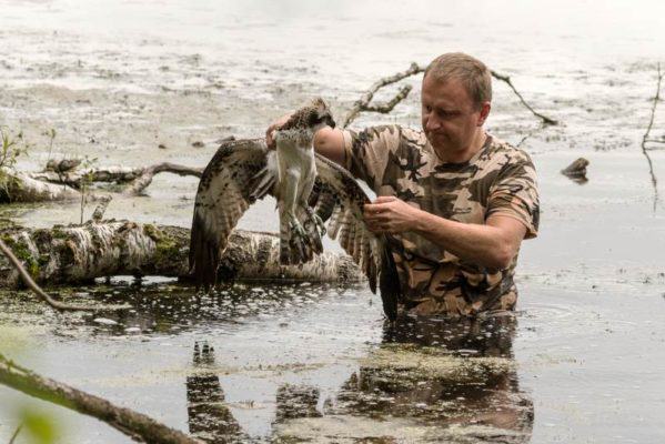 akcja ratunkowa rannego rybołowa