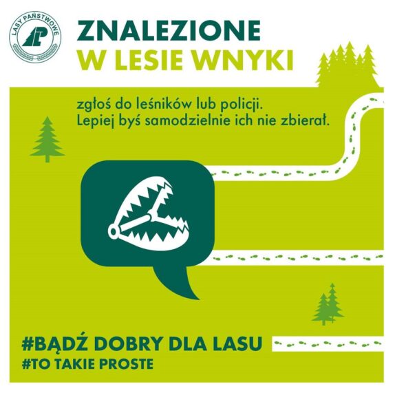 wnyki w lesie - infografika