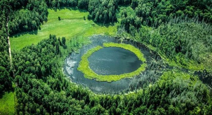 Okrągłe jezioro w lesie