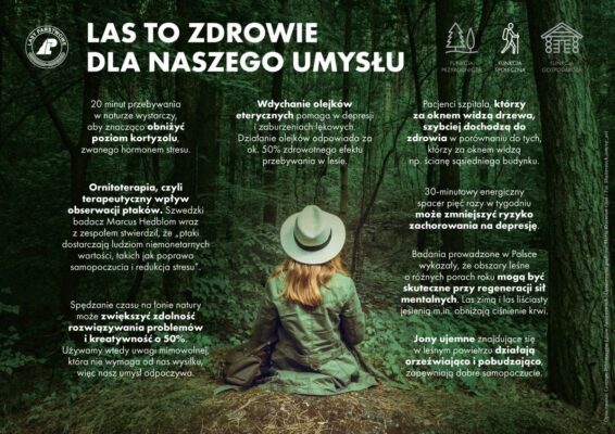 las to zdrowie