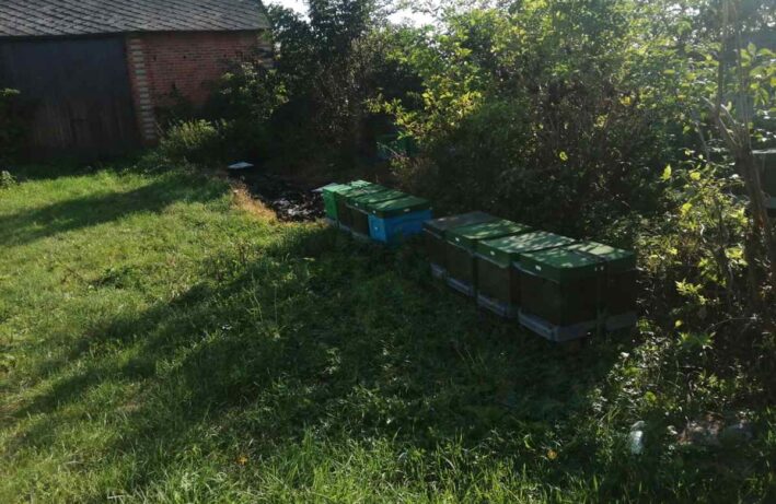Podpalenie uli z Pasieki Dziadka