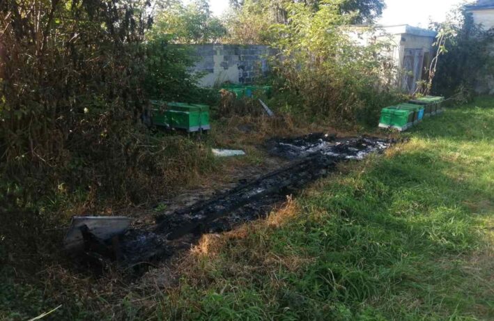 Podpalenie uli z Pasieki Dziadka